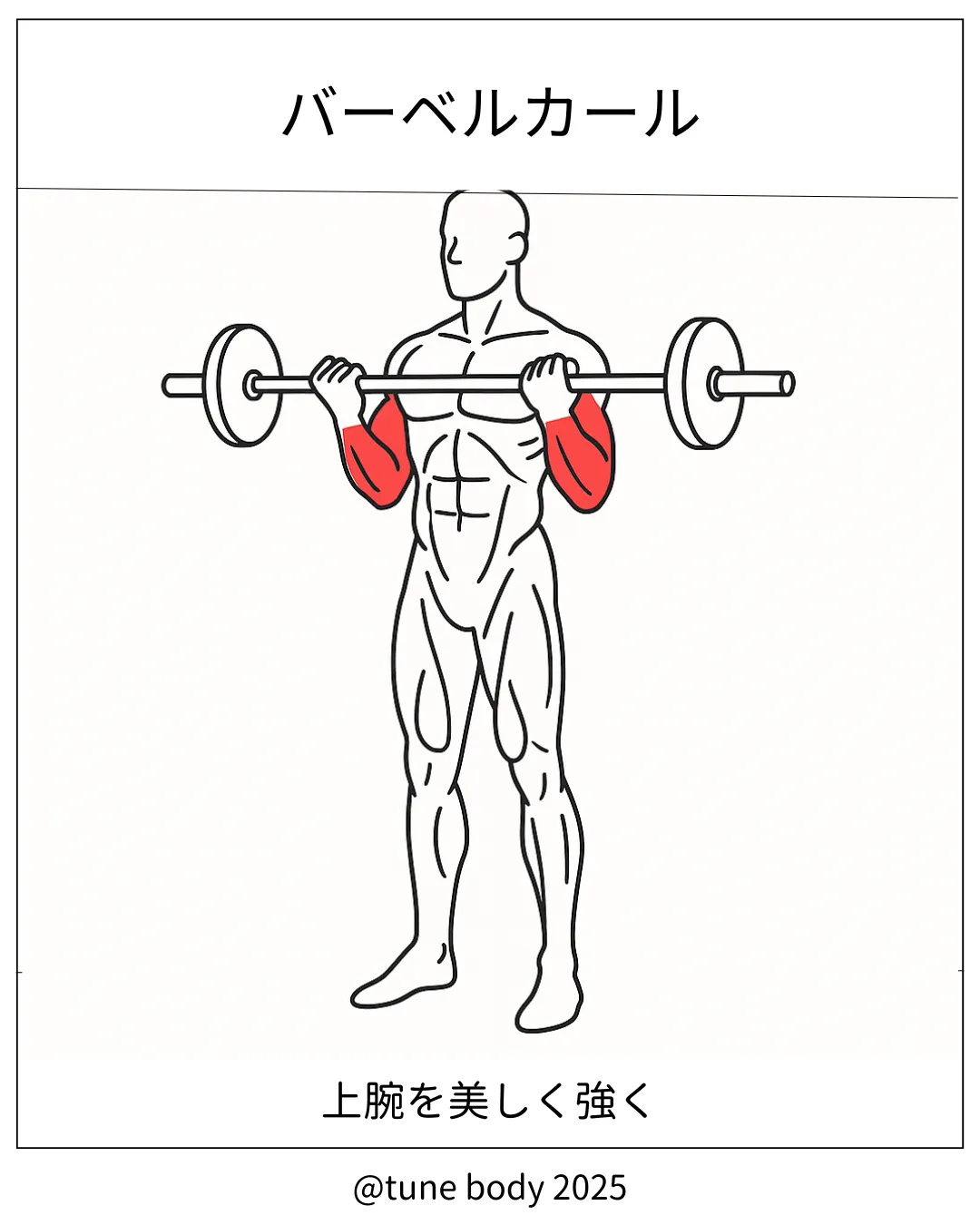 【フリーウエイト】バーベルカール
