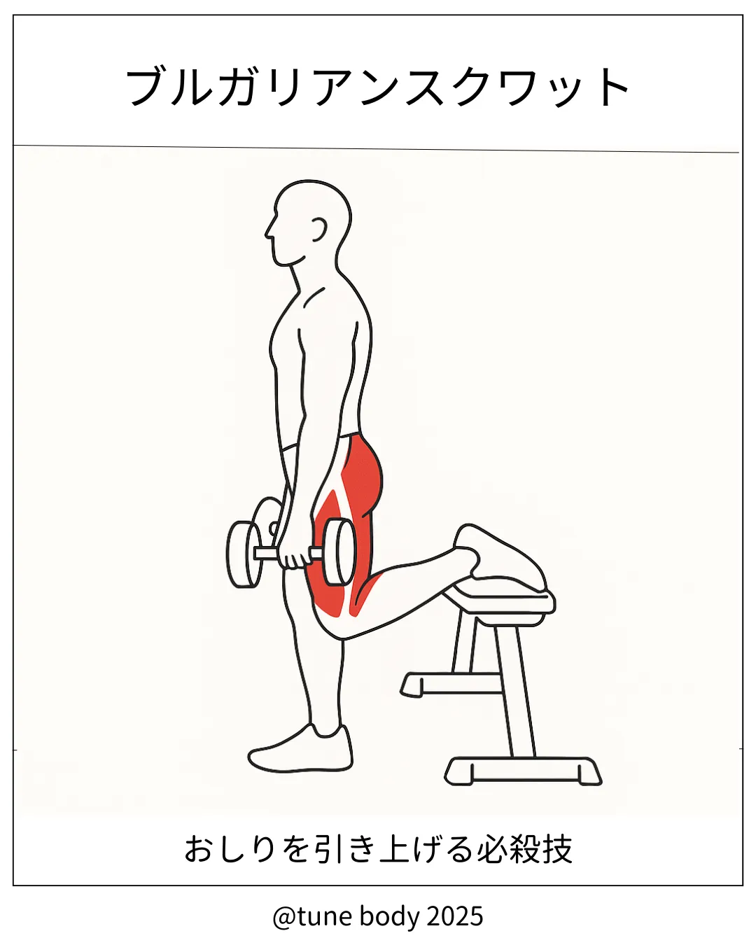 【フリーウエイト】ブルガリアンスクワット