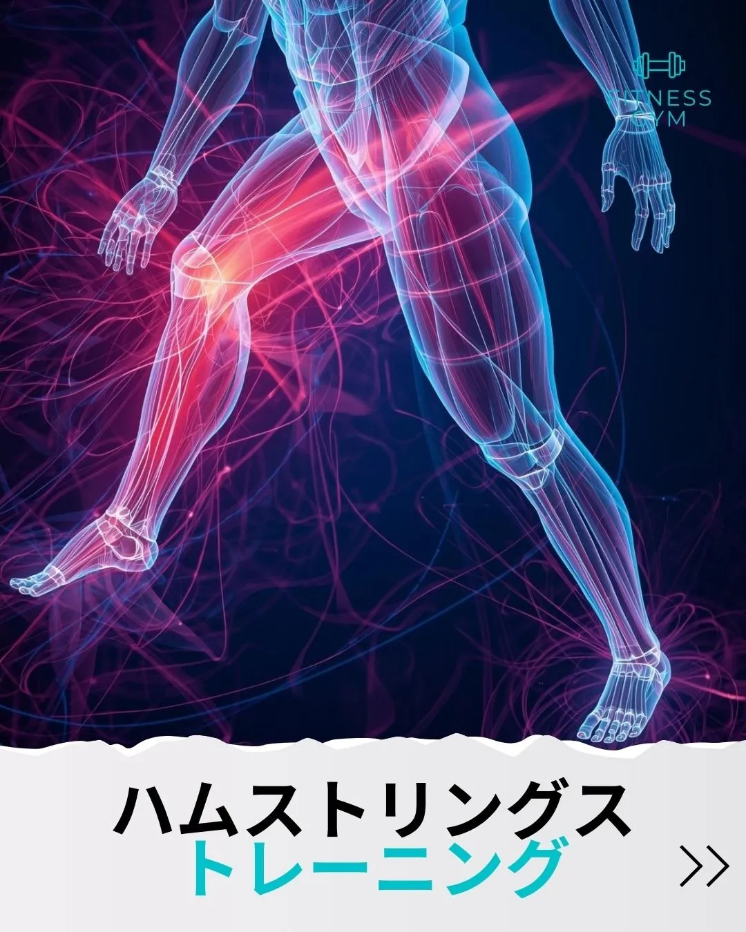 筋トレでハムストリングスを効率的に鍛える正しいフォームと頻度のポイント解説