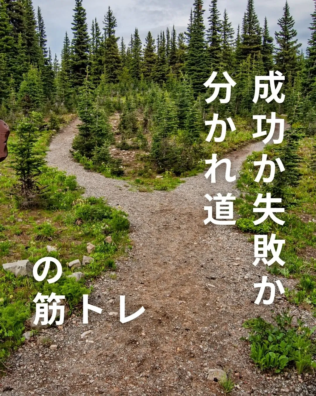 ダイエット成功する秘訣とリバウンドダイエットを避ける分かれ道を徹底解説